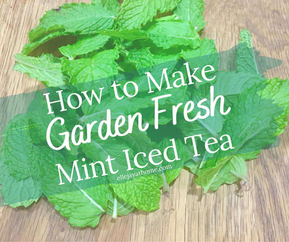 How to make Fresh Mint Tea