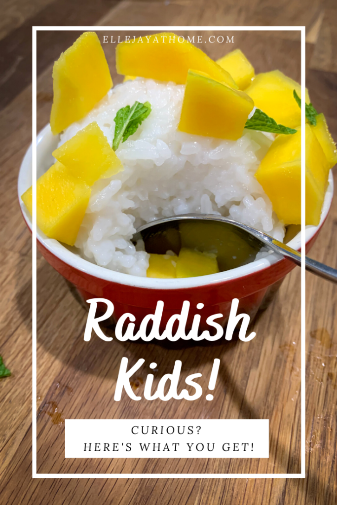 Raddish Kids Mango Sticky Rice is soooo good!