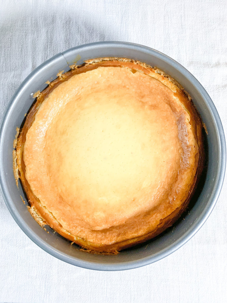 Untopped Vanilla bean cheesecake in springform pan