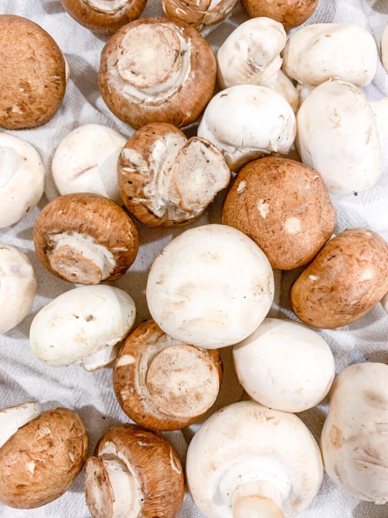 Baby Bella and White Button Mushrooms.