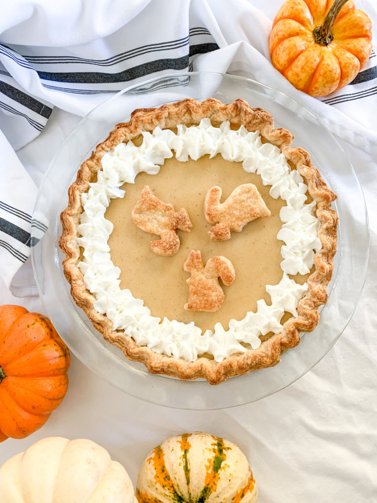 Overhead shot of white pumpkin pie with squirrel pie crust decorations