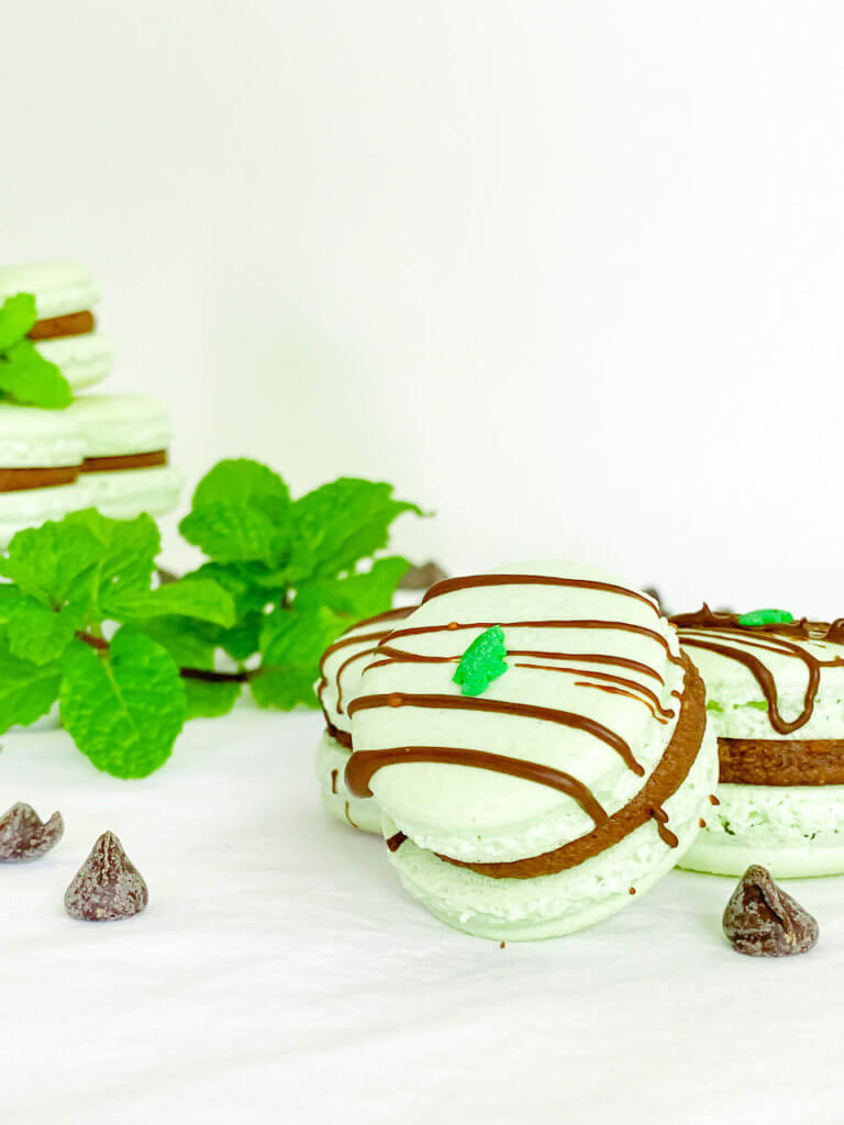 Peppermint cocoa macarons with mint leaves and chocolate chips