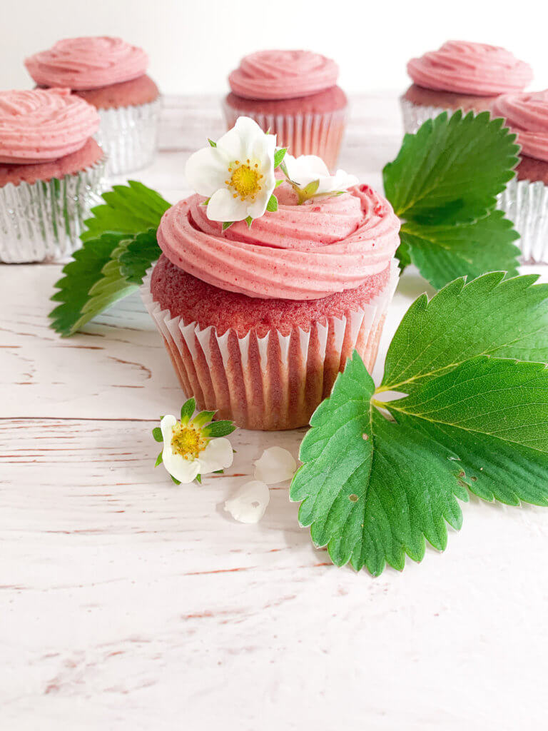 pink strawberry cupcake with cheesecake frosting with strawberry leaves and blossoms