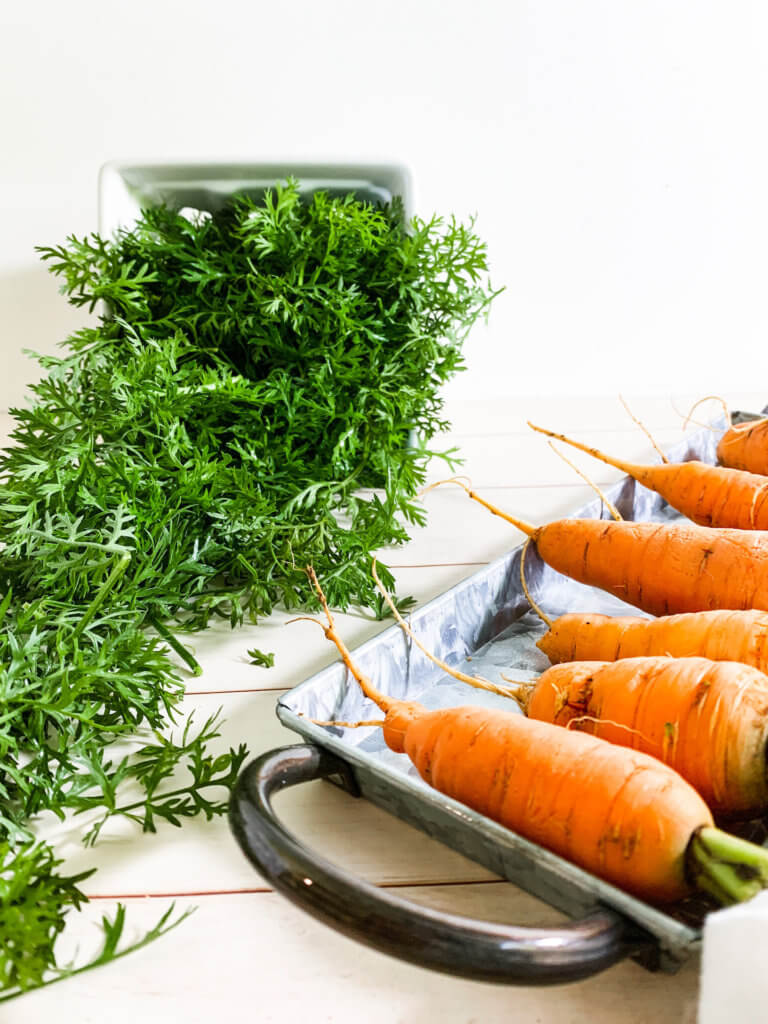 Carrots and Carrot Tops on a tray