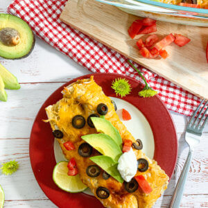 chicken enchiladas